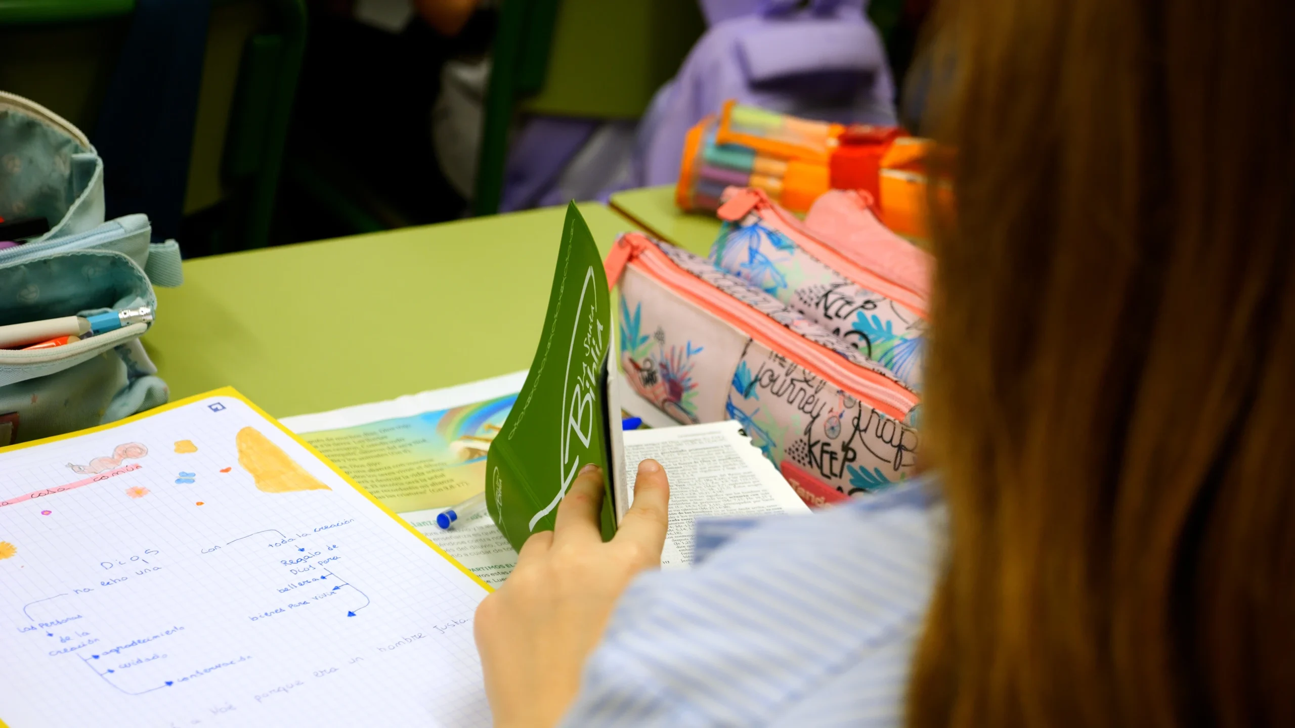 P1241198.MOV.20_02_20_11.Imagen fija001